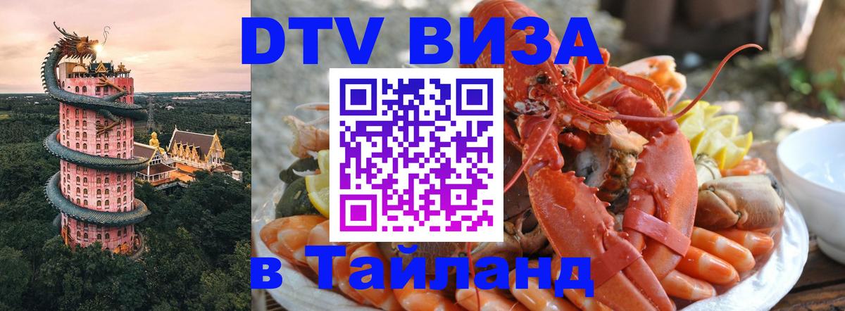 Оформление DTV визы под ключ: стоимость и тарифы, только загранпаспорт - Исламабад 